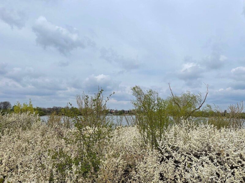 Buftea, Samurcasi, teren cu deschidere la lac