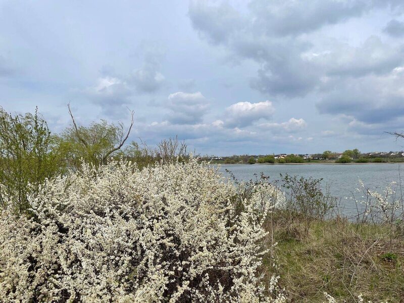 Buftea, Samurcasi, teren cu deschidere la lac