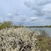 Buftea, Samurcasi, teren cu deschidere la lac